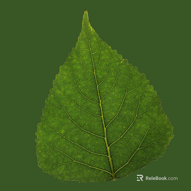 leaves texture