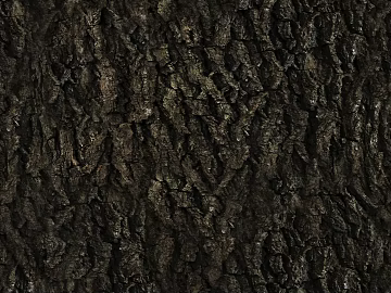 Dark brown bark natural decorative surface texture (ID:ffaeh603726)