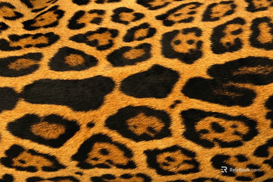 Animal Blanket texture
