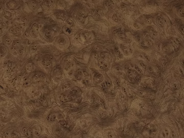 nodule wood grain black walnut nodule texture (ID:ffaeg41583)