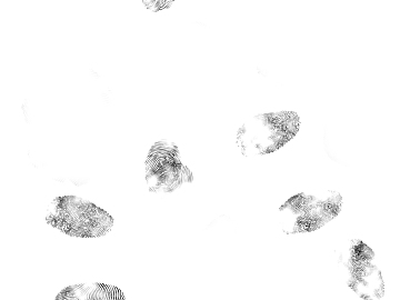 Fingerprint texture (ID:ffajg45638)