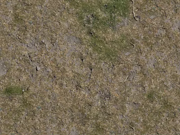 Turf texture (ID:ffagg53057)