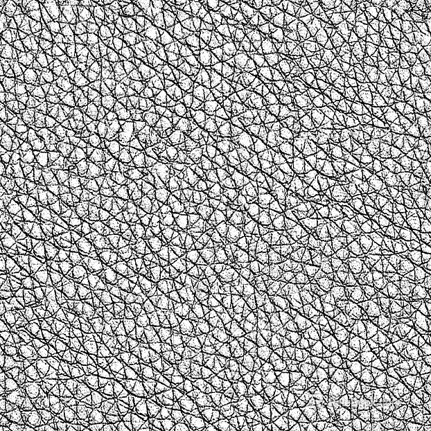 Coarse-grain leather texture