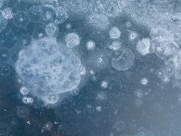 Cement floor texture (ID:ffaeg40418)