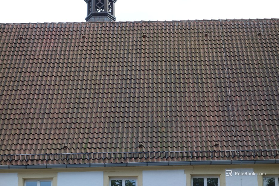Roof texture
