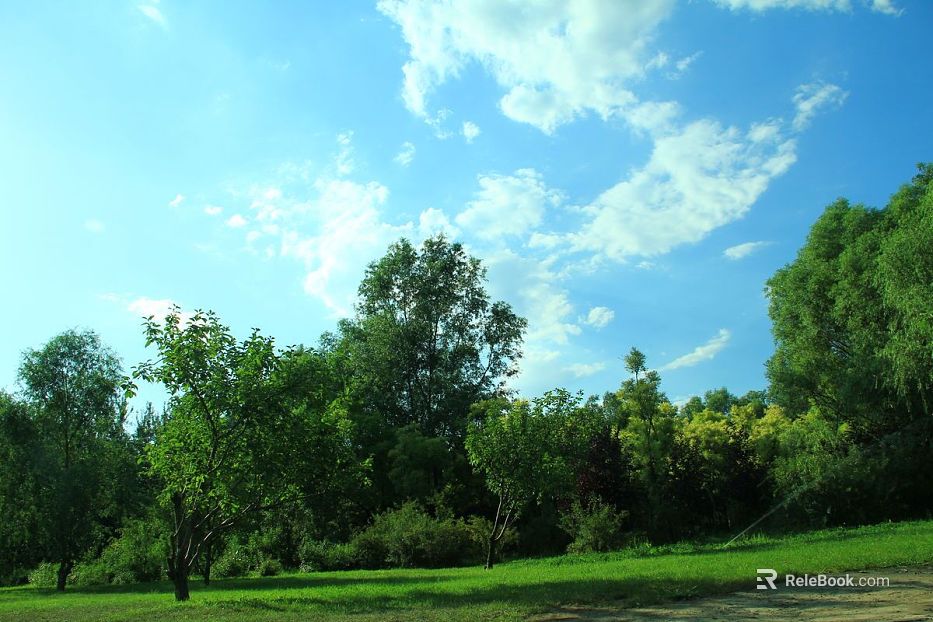 Wild Scenery texture