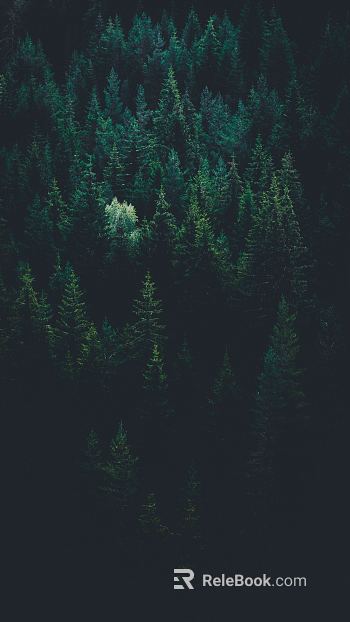 Forest texture