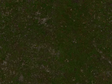 Turf texture (ID:ffaif5490)