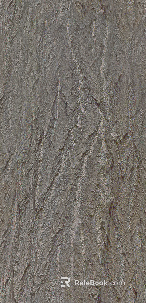 bark texture