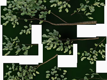 leaves texture (ID:ffacg36692)