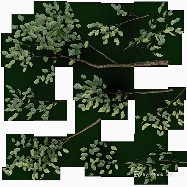 leaves texture