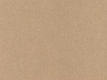 Mud texture (ID:ffabg58377)