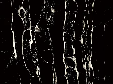 Mesh pattern marble marble black and white root texture (ID:ffagg45060)