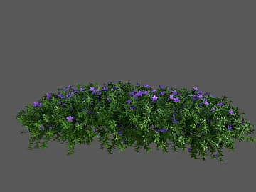 Plants texture (ID:ffajg91766)