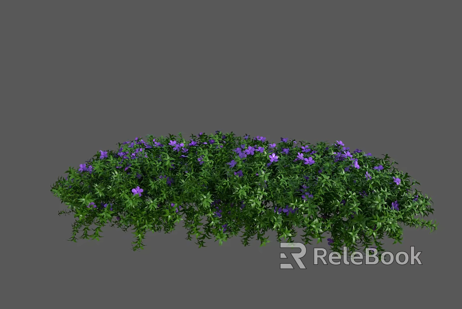 Plants texture