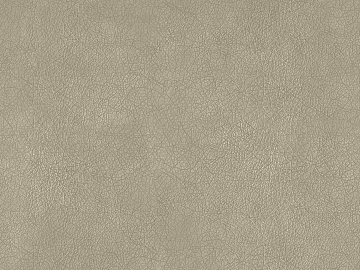 Coarse-grain leather texture (ID:ffaag98760)