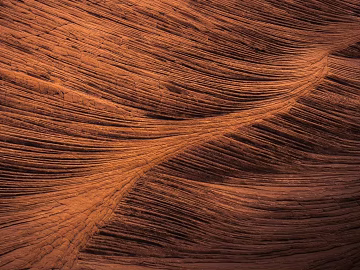 old wood texture (ID:ffabg81227)