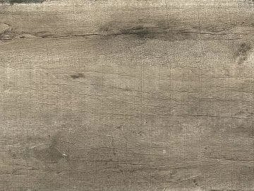 bark texture (ID:ffajg10167)