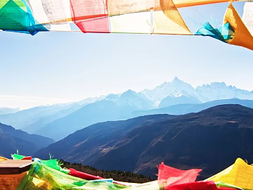 Wild Scenery texture (ID:ffaeg40222)