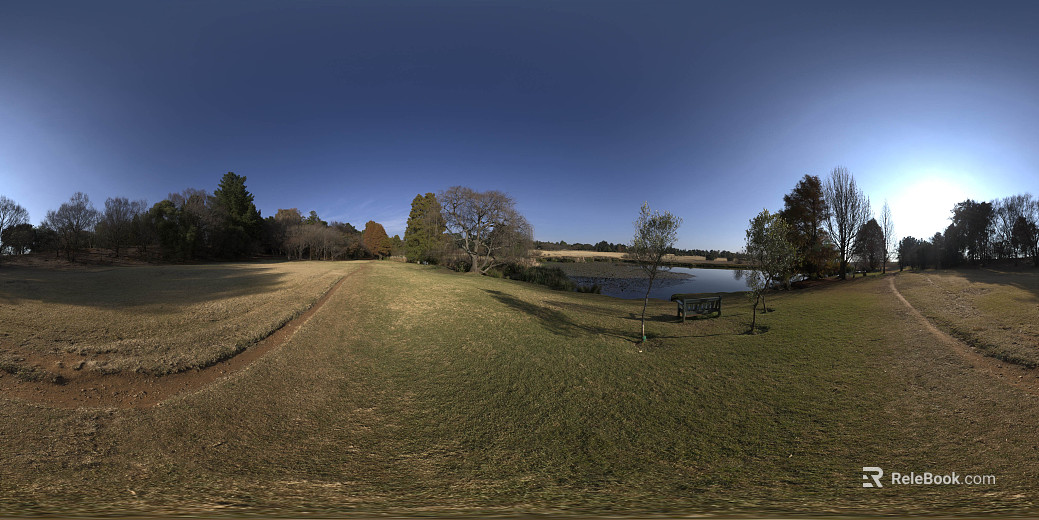 Outdoor Riverbank Forest Lawn Daytime HDR texture