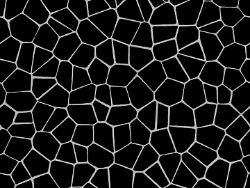 Black and White Bump 3d model