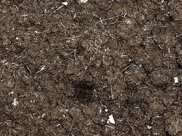 Mud texture (ID:ffabg80436)