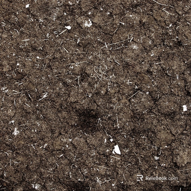 Mud texture