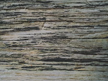 old wood texture (ID:ffagg84045)