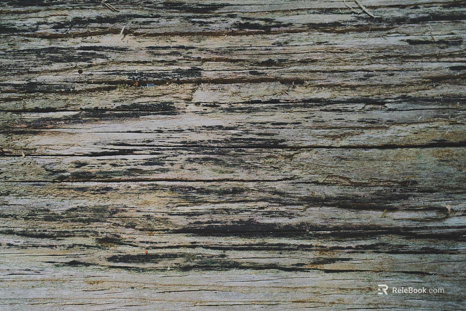 old wood texture
