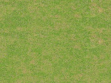 Grassland 3d model