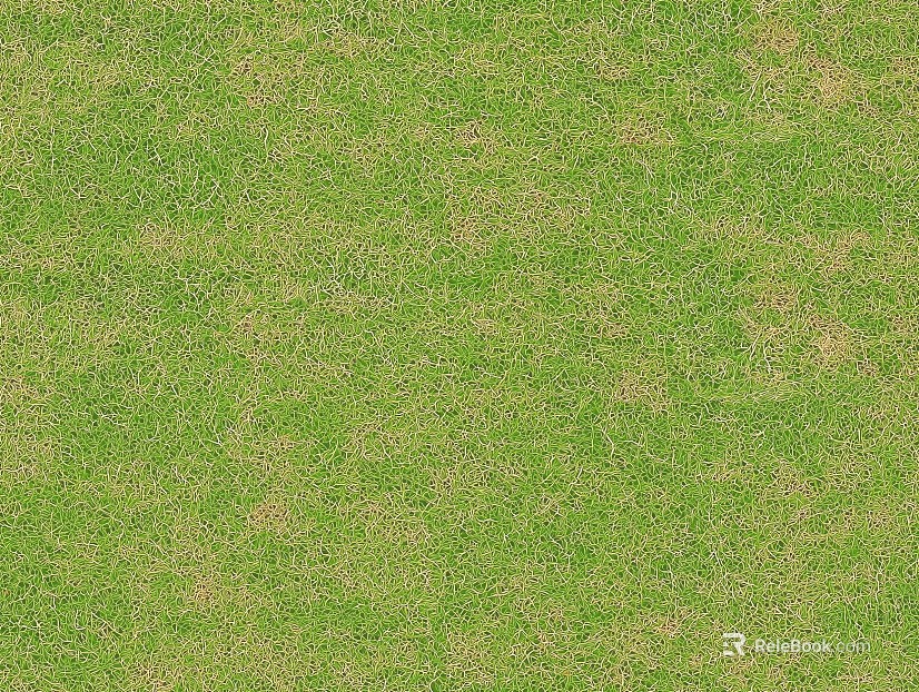 Grassland texture
