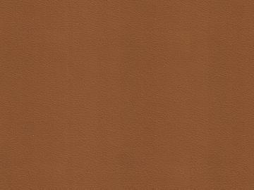 fine grain leather texture (ID:ffagg19215)