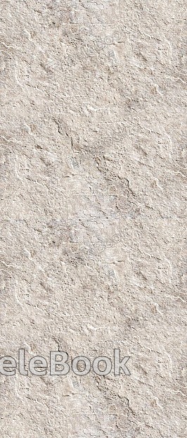 A rugged, gray-brown boulder textured with rough, uneven surfaces and cracks, set against a blurred background.