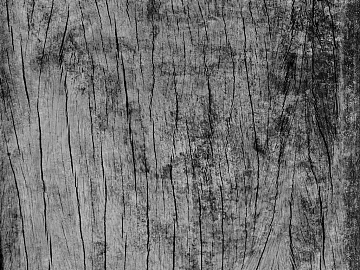 Black and White Bump texture (ID:ffaag36273)