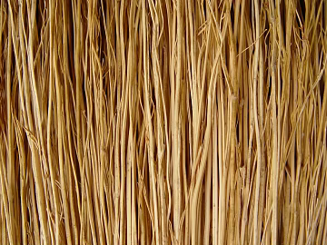 Thatch texture (ID:ffajg50659)