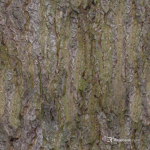 bark texture