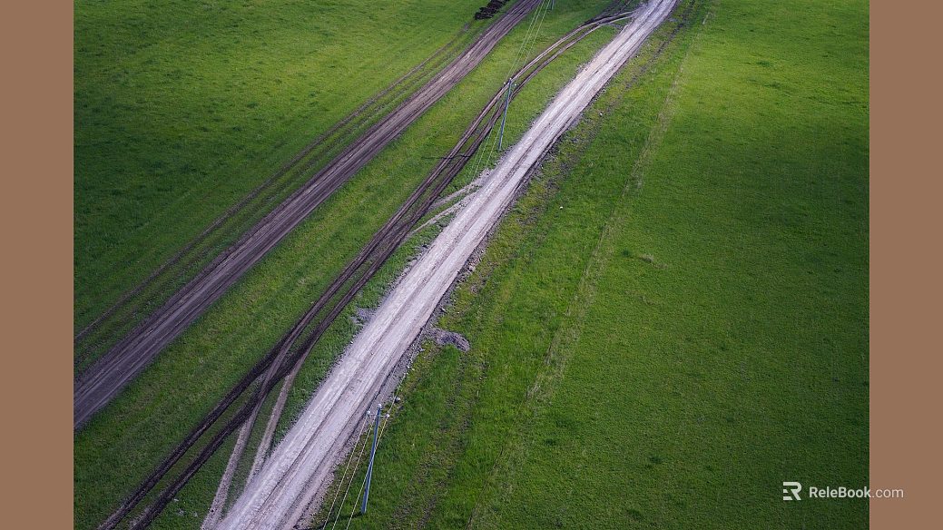 Wild Scenery texture