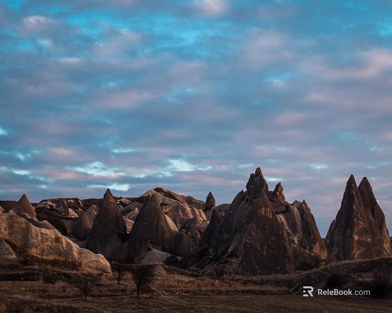 Wild Scenery texture