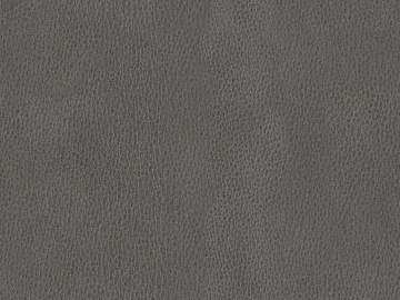 fine grain leather texture (ID:ffagg09391)
