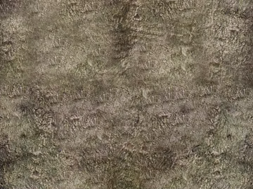 bark texture (ID:ffadf9456)