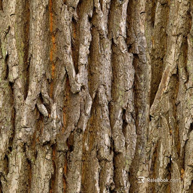 bark texture