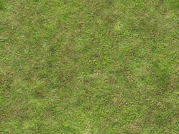 Grassland texture (ID:ffaeg05103)