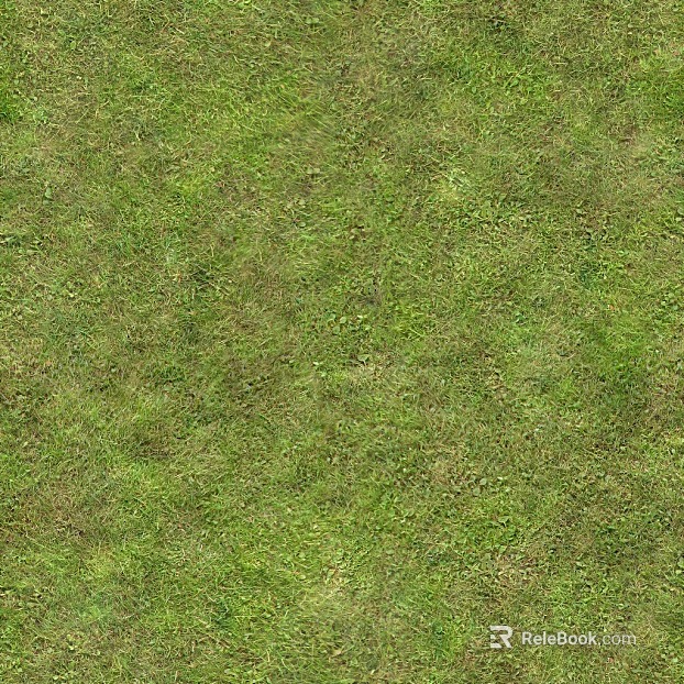 Grassland texture
