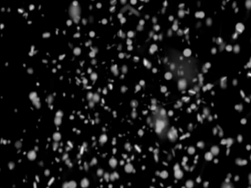 Snowy Snowflake Weather Highlight Mask texture (ID:ffach969593)