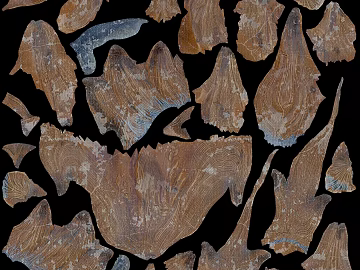 Fragments of tan old wood trim texture (ID:ffaeh373766)
