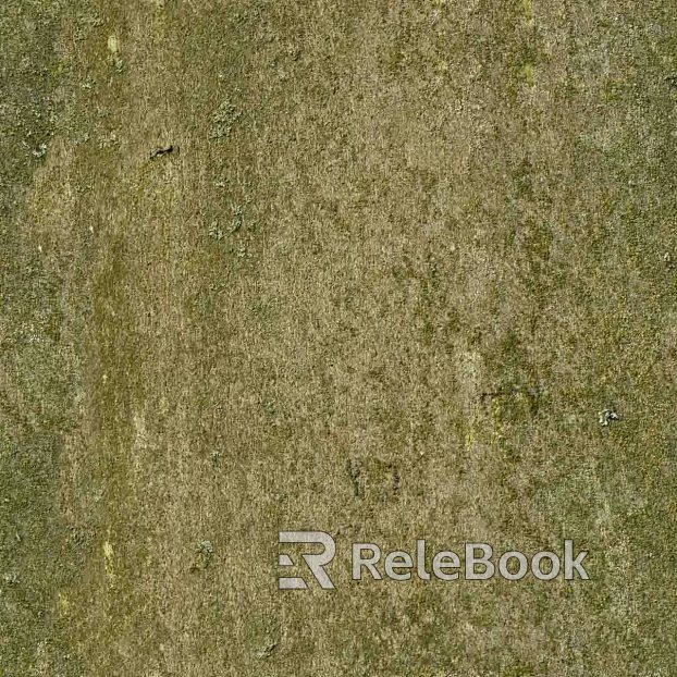 Mud texture