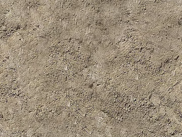 Mud texture (ID:ffagf2469)