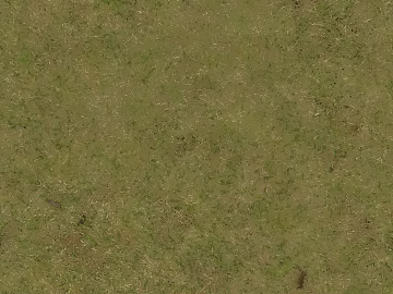 Turf texture (ID:ffach374965)