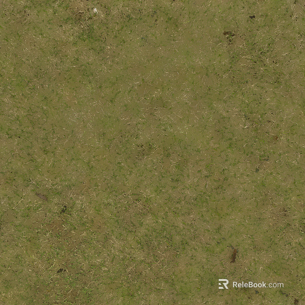 Turf texture