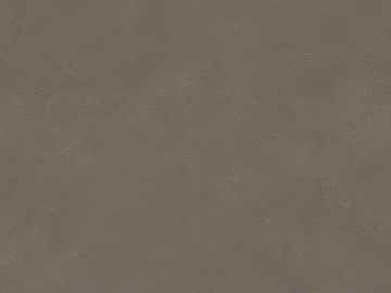 fine grain leather 3d model